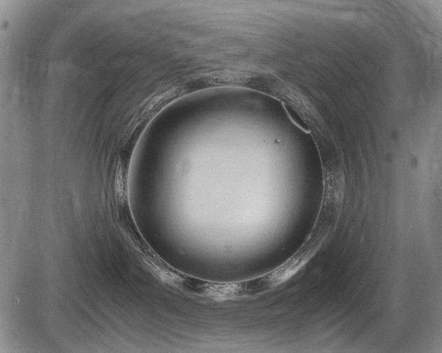 X0000086060143200703301050