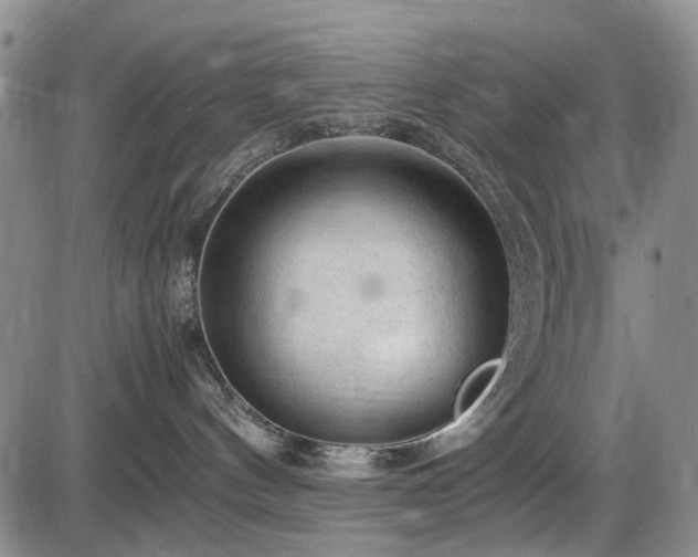 X0000086060144200703301050