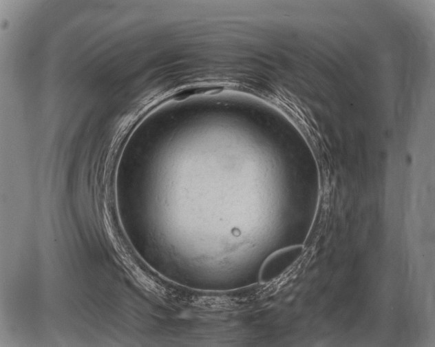 X0000086060145200703301049