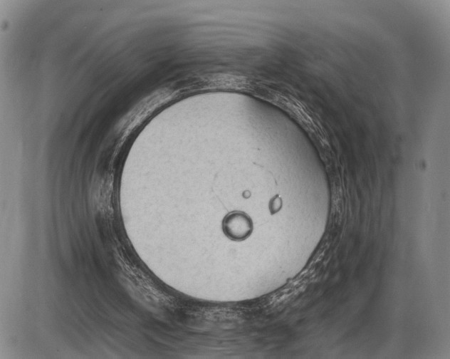 X0000086060146200703301049