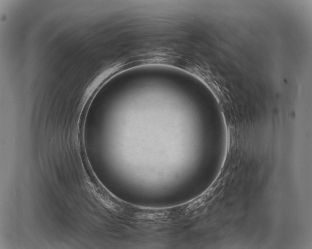 X0000086060147200703301049