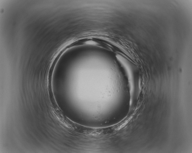 X0000086060148200703301049