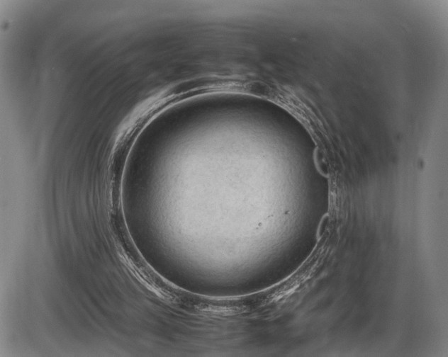 X0000086060149200703301049