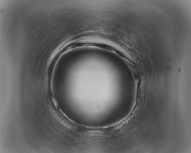 X0000086060150200703301049