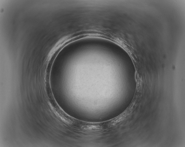 X0000086060151200703301050