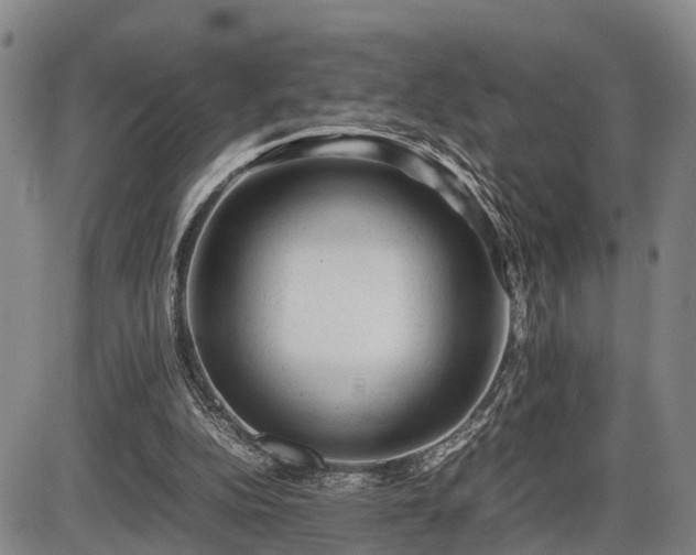 X0000086060152200703301050