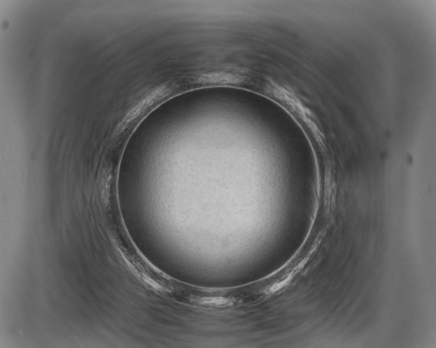 X0000086060153200703301050