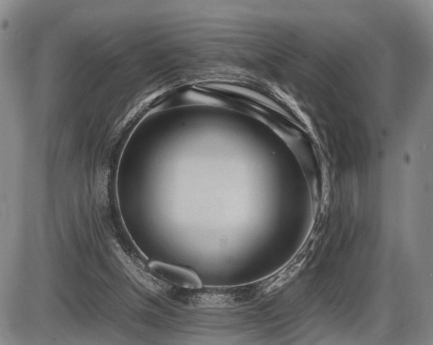 X0000086060154200703301050