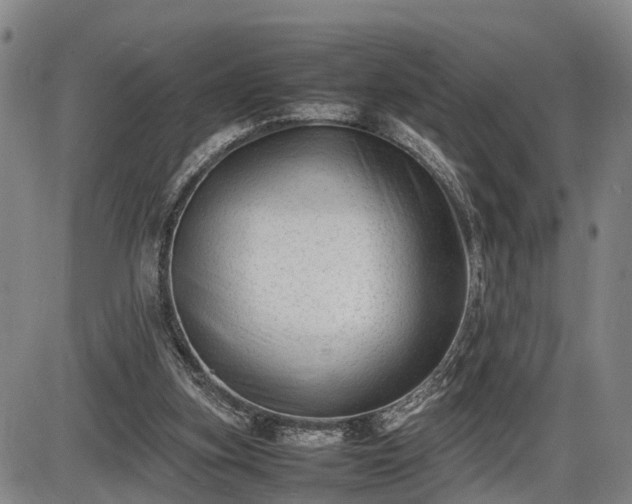 X0000086060155200703301050