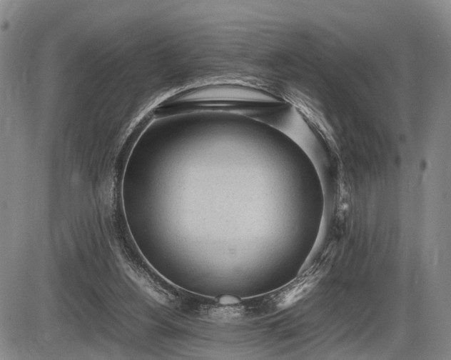 X0000086060156200703301050