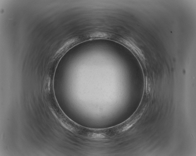 X0000086060157200703301050