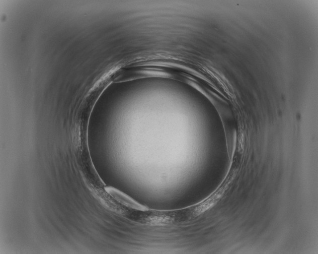 X0000086060158200703301050