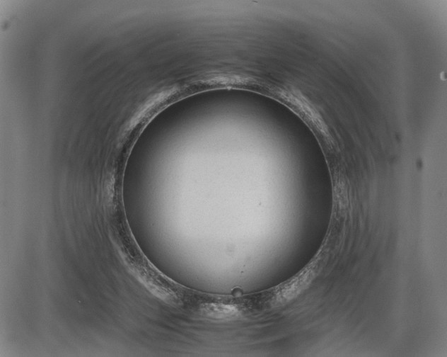 X0000086060159200703301050