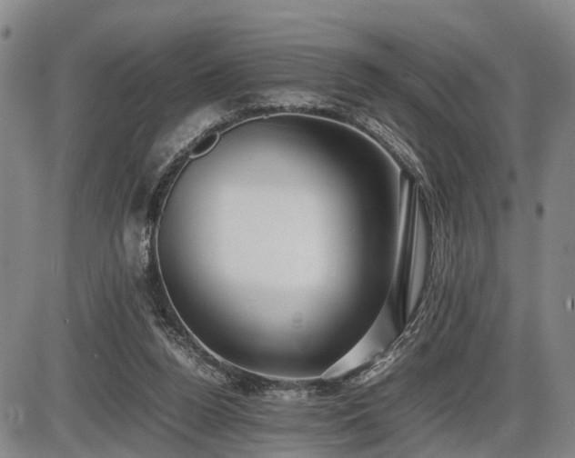 X0000086060160200703301050