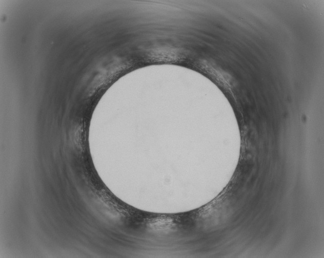 X0000086060162200703301050