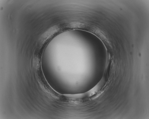 X0000086060164200703301050