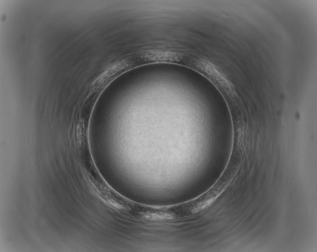 X0000086060165200703301050