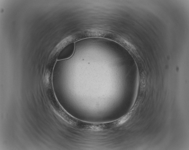 X0000086060166200703301050