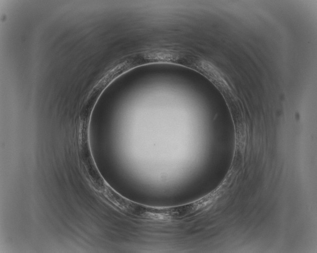 X0000086060167200703301050