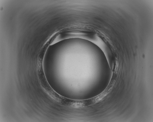 X0000086060168200703301050