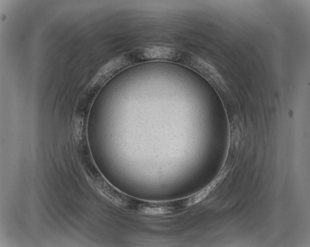 X0000086060171200703301050