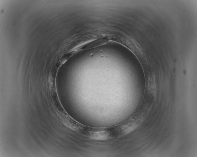 X0000086060173200703301050