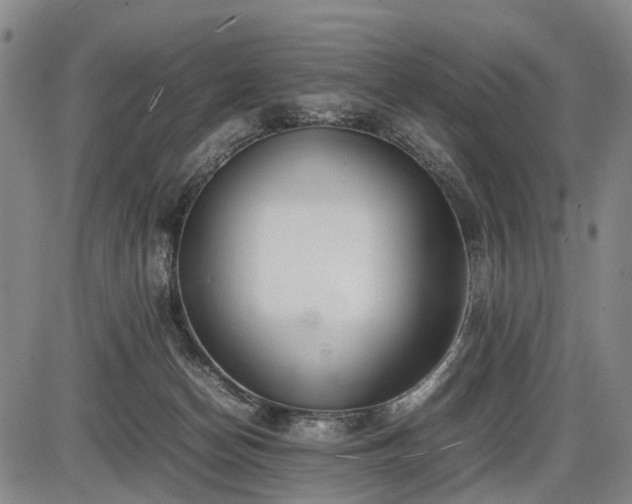 X0000086060174200703301050