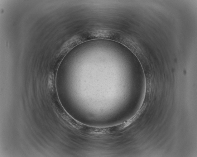 X0000086060175200703301050