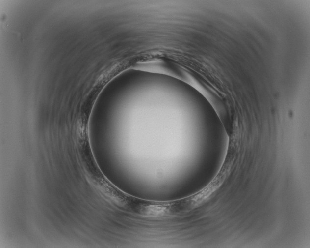 X0000086060176200703301050