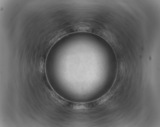 X0000086060177200703301050