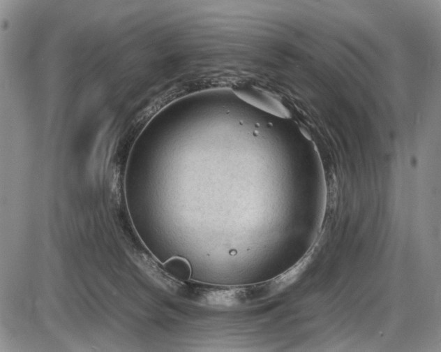 X0000086060178200703301050