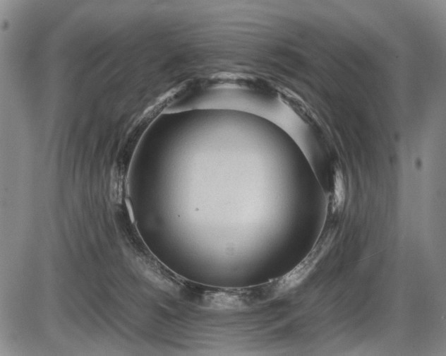 X0000086060180200703301050