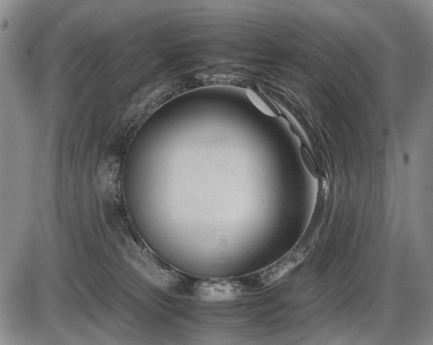 X0000086060181200703301050