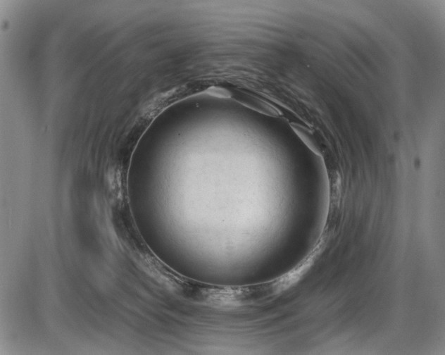 X0000086060182200703301050