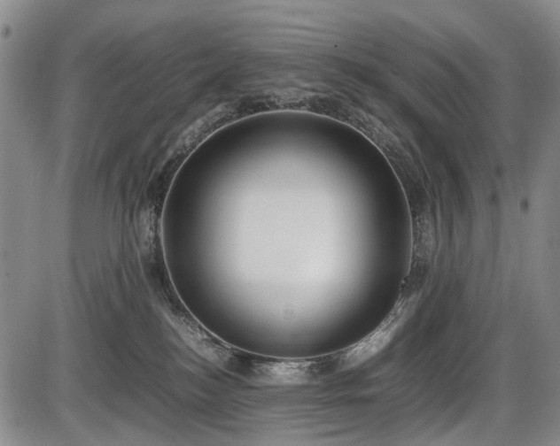 X0000086060184200703301050