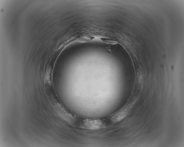 X0000086060185200703301050