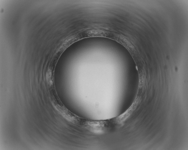 X0000086060187200703301050