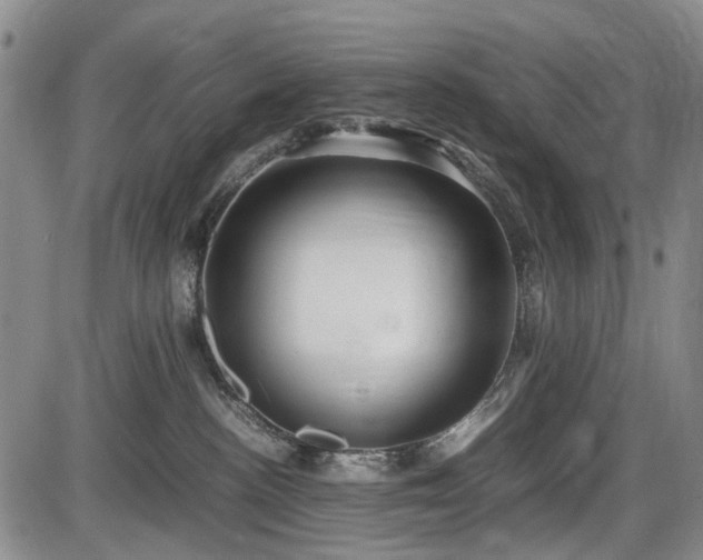 X0000086060188200703301050