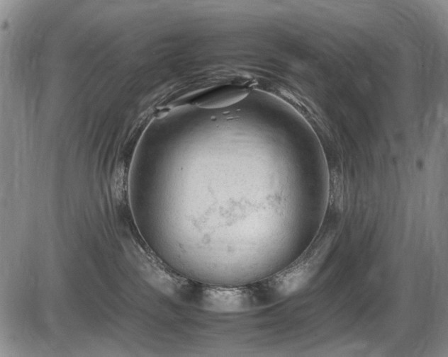 X0000086060189200703301050