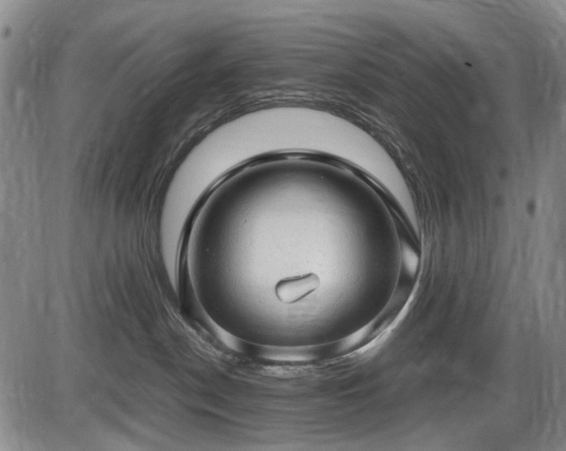 X0000086060190200703301050