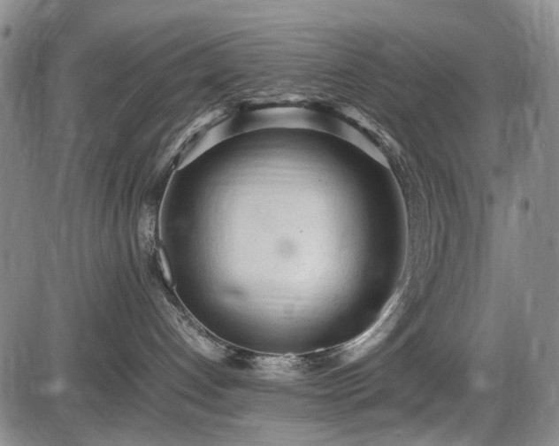 X0000086060192200703301050