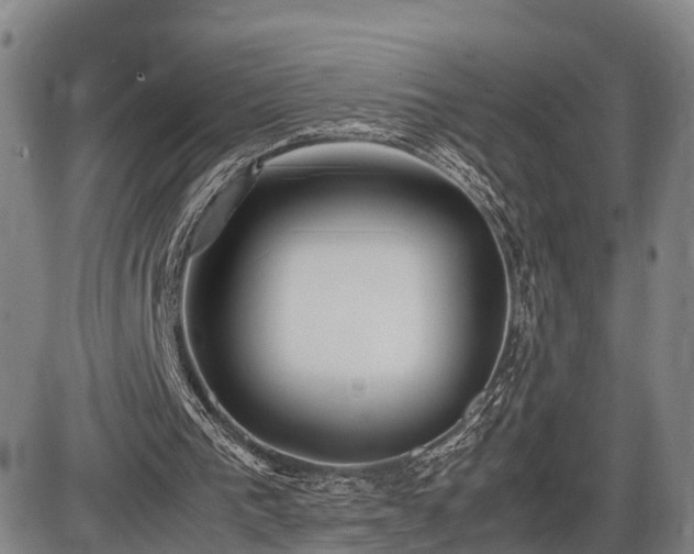 X0000086060193200703301049