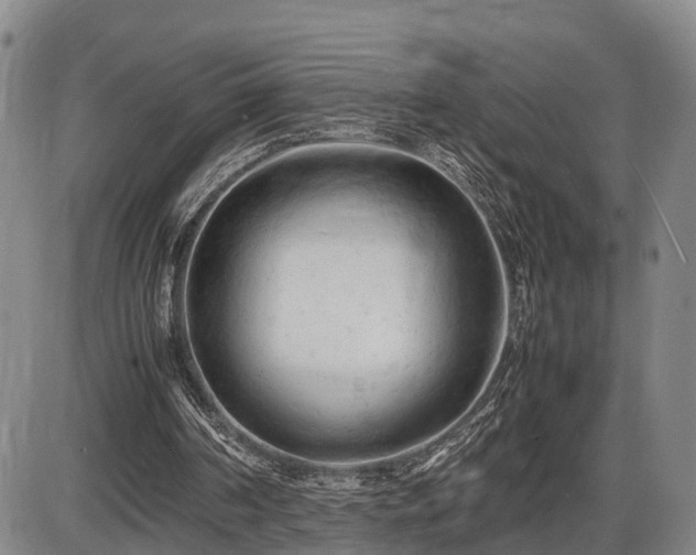 X0000086060194200703301049