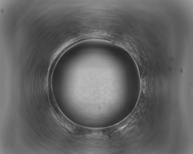 X0000086060196200703301049