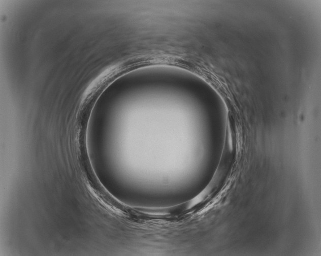 X0000086060197200703301049