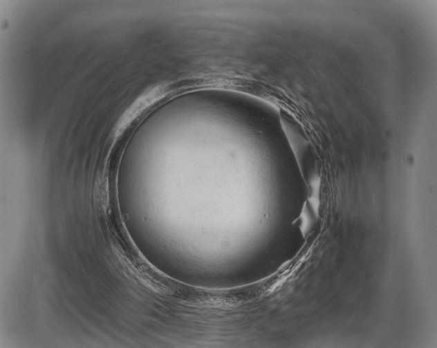 X0000086060198200703301049