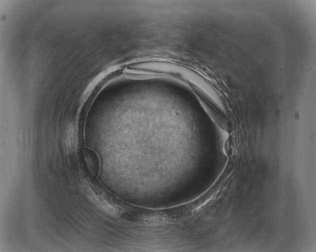 X0000086060200200703301049