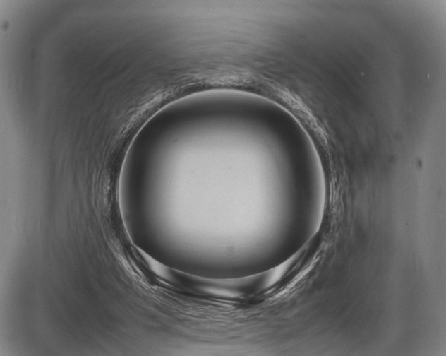 X0000086060201200703301049