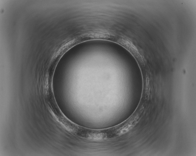 X0000086060202200703301049