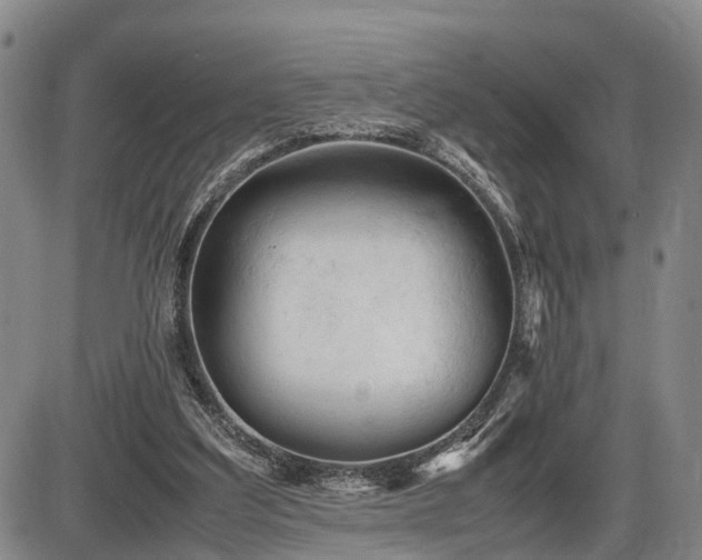 X0000086060203200703301049